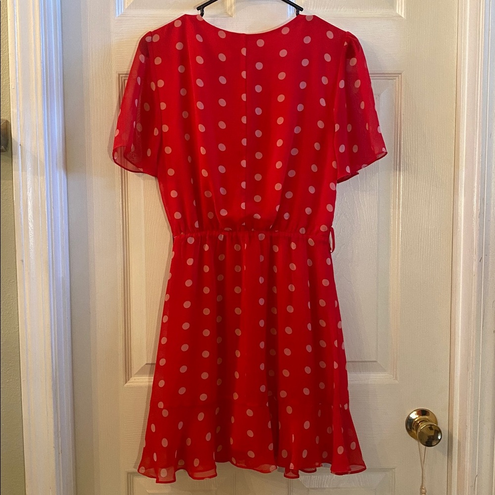 Miami Red and White Polka Dot Mini Sheer Dress - Picture 9 of 13
